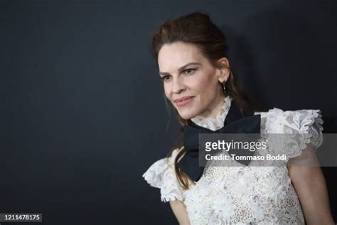 29,104 Hilary Swank Photos & High